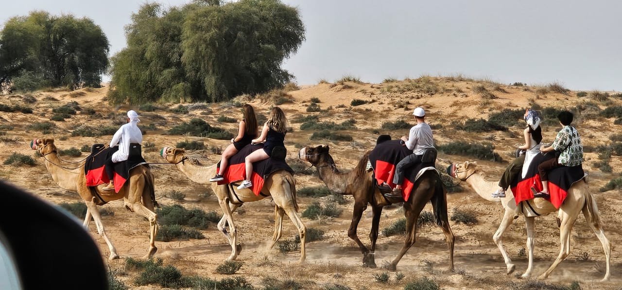 Camel Ride